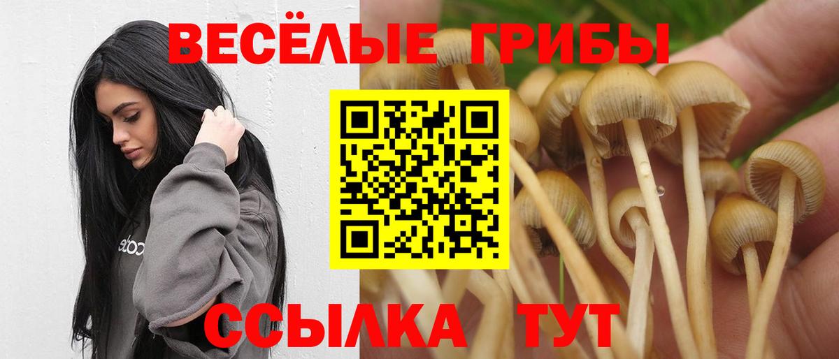 Галлюциногенные грибы Cubensis Туапсе