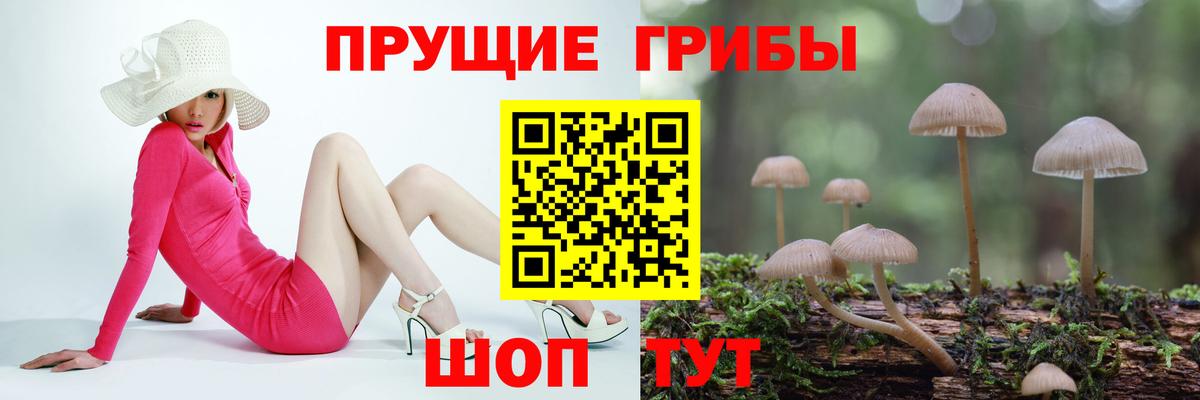 Галлюциногенные грибы Cubensis  Вход с VPN  наркошоп  Туапсе 